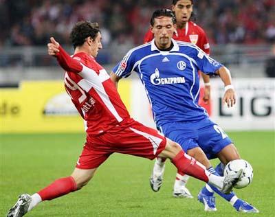 他们将自己 他们将自己