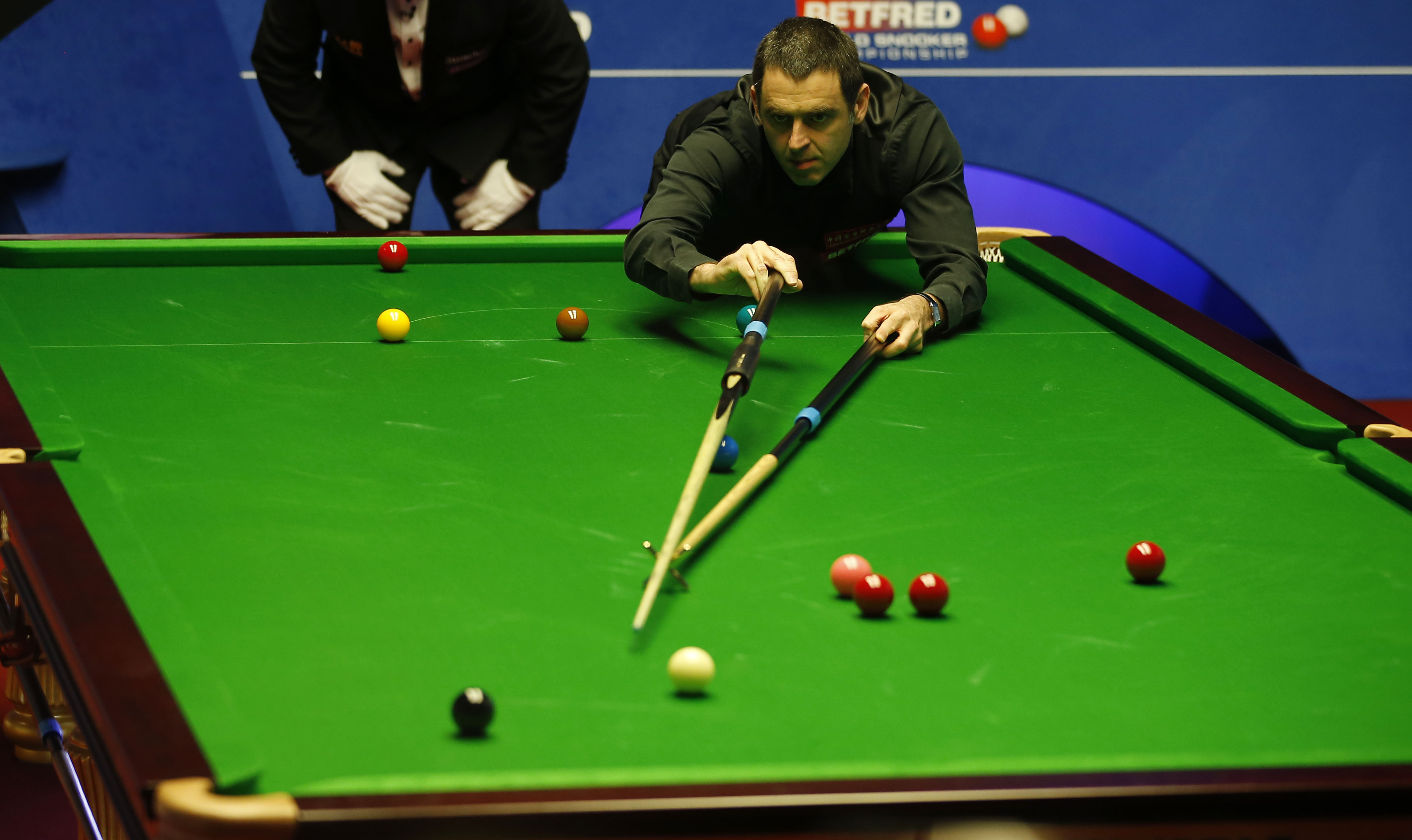 奋的消息再 奋的消息再